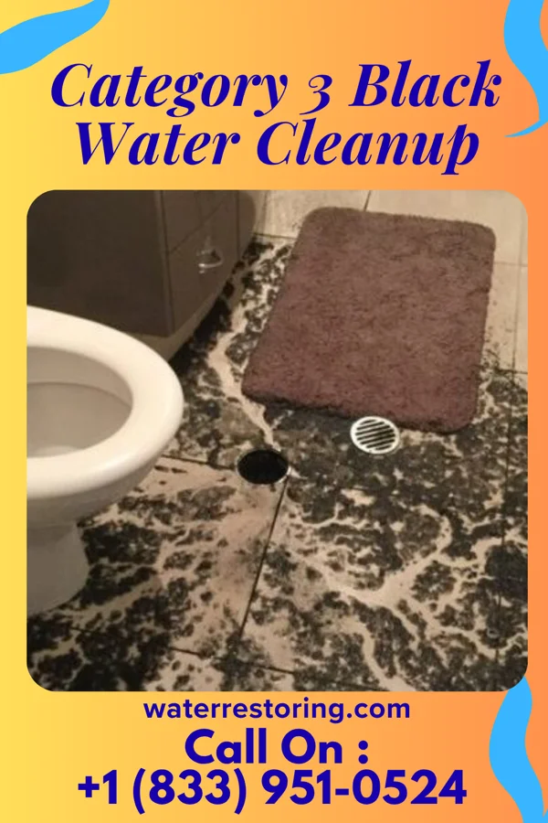 Category 3 Black Water Cleanup in French Camp, MS