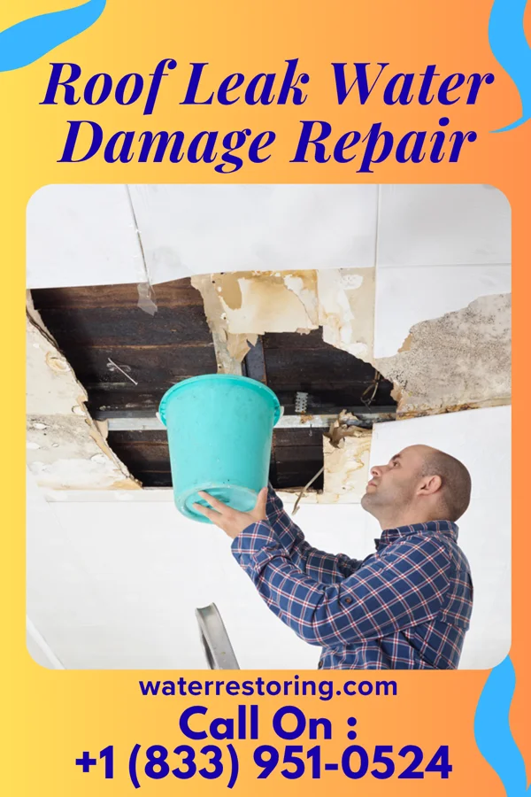 Roof Leak Water Damage Repair in French Camp, MS