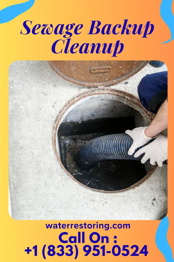 Sewage Backup Cleanup in French Camp, MS